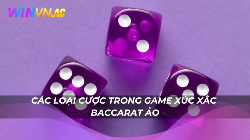 Các loại cược trong game xúc xắc Baccarat ảo