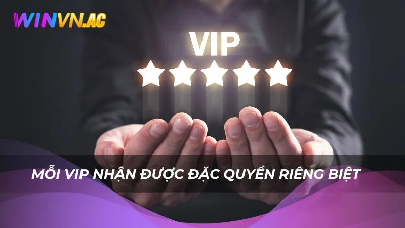 Mỗi VIP nhận được đặc quyền riêng biệt