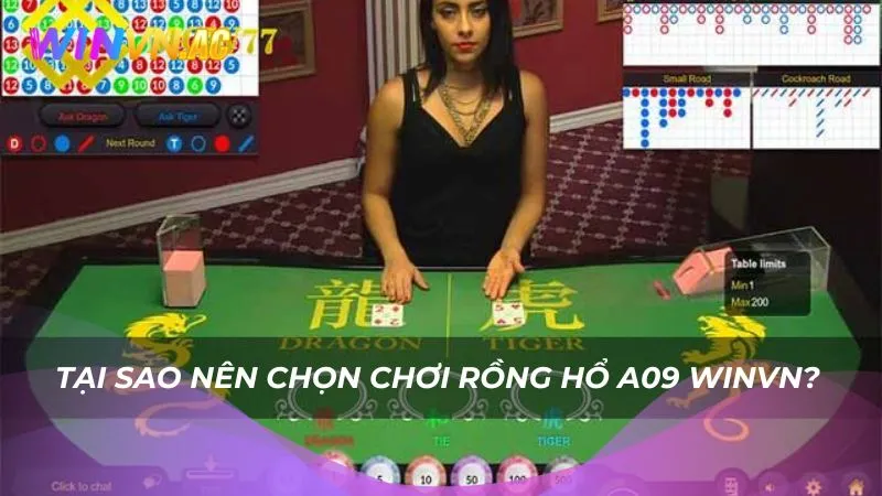 Tại sao nên chọn chơi Rồng Hổ A09 Winvn?