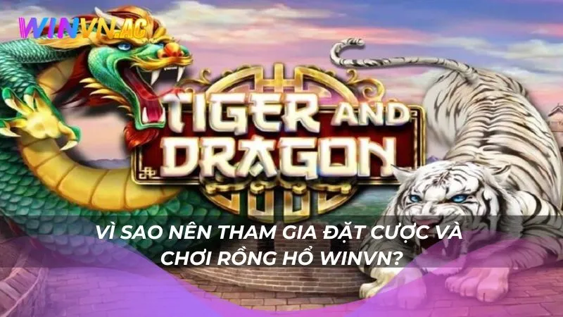 Vì sao nên tham gia đặt cược và chơi Rồng Hổ Winvn?